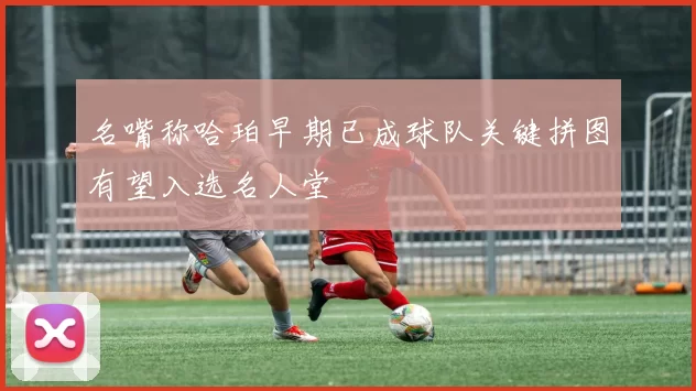 名嘴称哈珀早期已成球队关键拼图有望入选名人堂