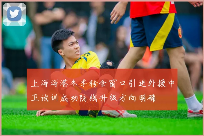 上海海港冬季转会窗口引进外援中卫试训成功防线升级方向明确